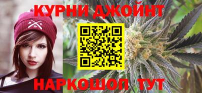 эйфоретик Кингисепп