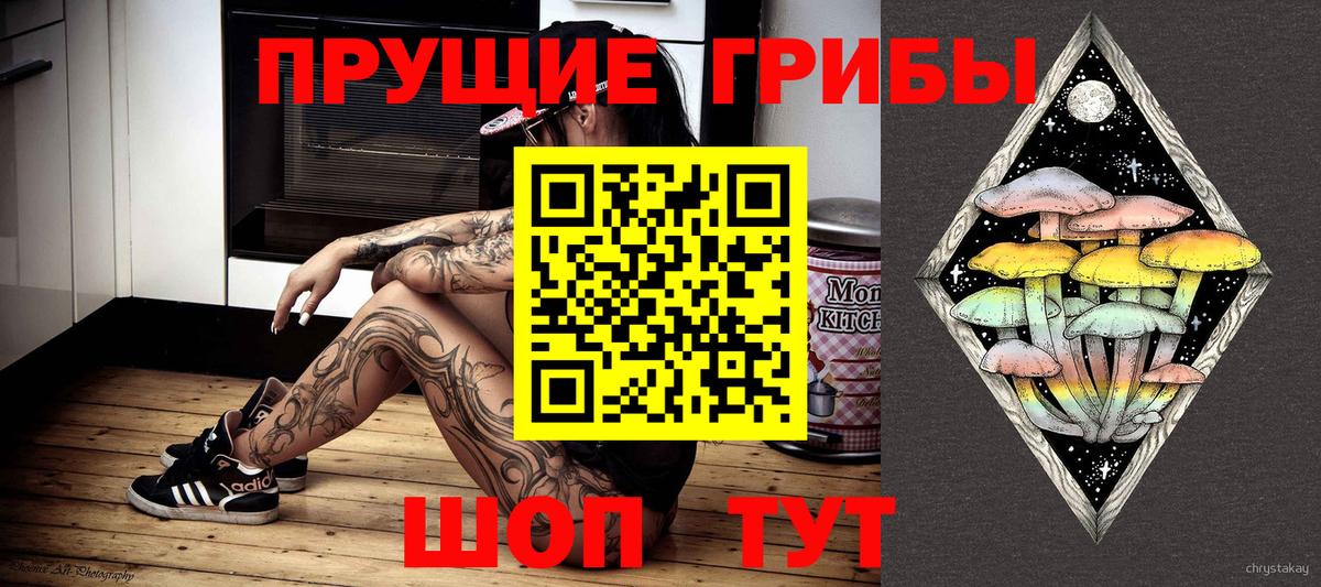 Псилоцибиновые грибы Cubensis Калининград