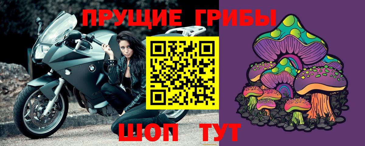 Псилоцибиновые грибы Cubensis  Вход с VPN  Калининград 